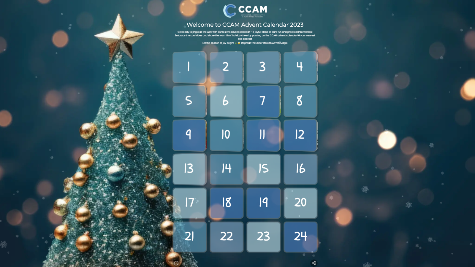 Get ready to unwrap the magic of the season with the CCAM Advent Calendar!